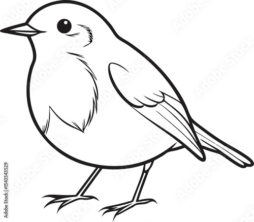 vector illustration of a robin bird