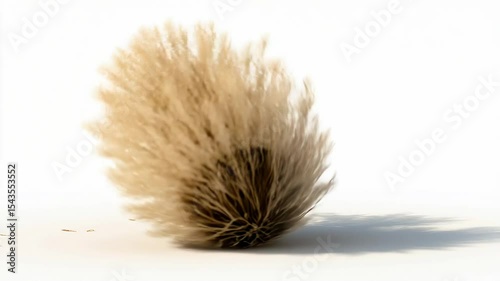 Highly Detailed Tumbleweed Rolling in Minimalist White Desert with Realistic Physics