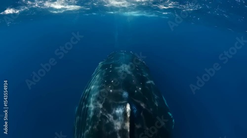 underwater view of the underwater world