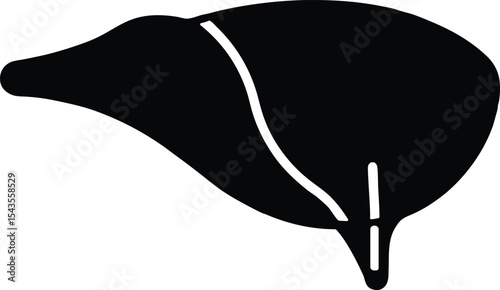 liver vector icon.