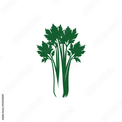 Fresh Celery Illustration Green Vegetable Graphic Design