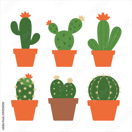 Decorative Green Cactus Set in Pots