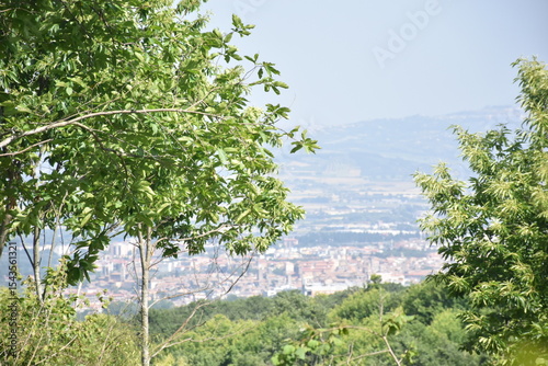 Fototapeta Roma