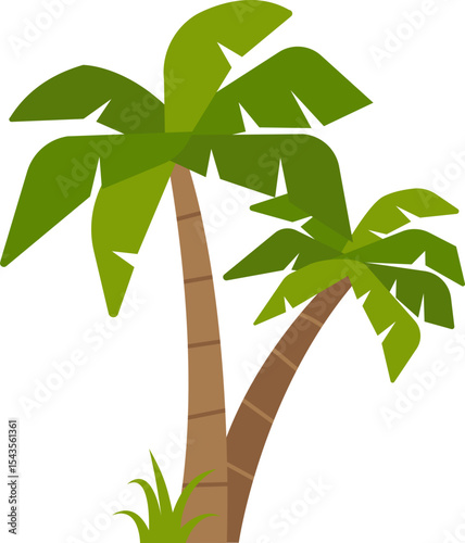 tropical tree vector art 야자수 열대 나무 벡터 일러스트 