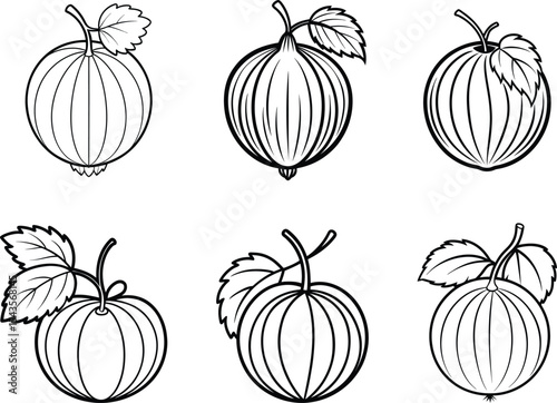 Set of gooseberry sketch engraving drawing vector illustration on black and white.