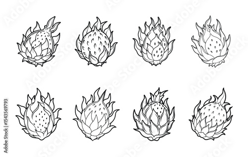 Black and white vector illustration of dragon fruit on white background coloring page