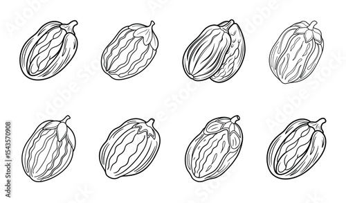 Various types of date fruits silhouette icon, illustration on a white background.