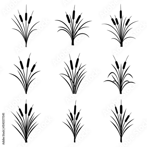 An Illustration of Different Clumps of Reed Plants with Dark Brown Heads and Tall Green Leaves That is Simple and Elegant