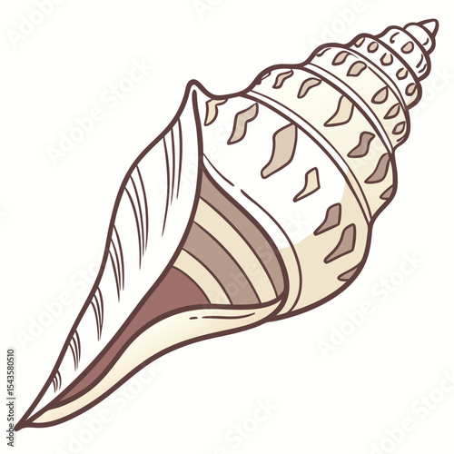Elegant brown and beige seashell vector illustration isolated on white background