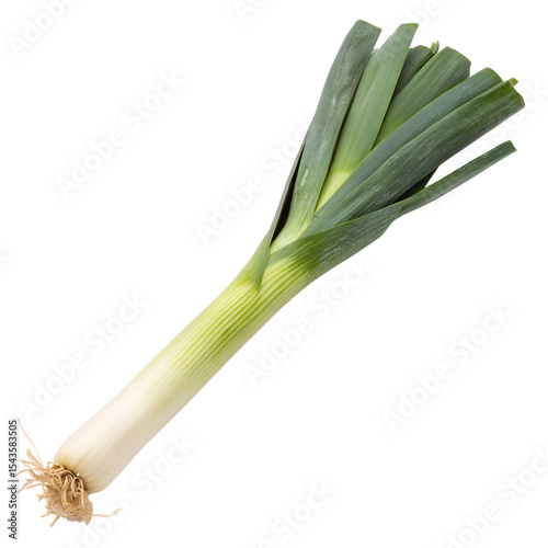 fresh green onion isolated without background