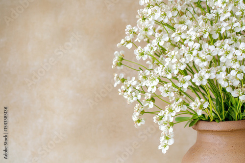 Beautiful clay pot filled with delicate white flowers, creating serene and calming atmosphere