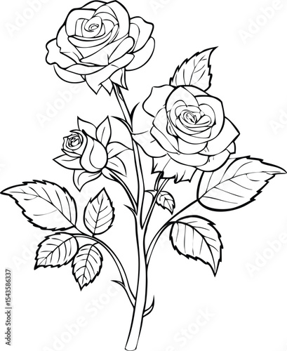 Elegant Rose Bouquet Outline: Detailed Line Art of Three Blossoms, Leaves, and Stem on White Background, Perfect for Coloring Pages and Design Elements.