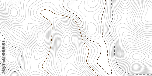 White wave paper curved reliefs abstract background, Abstract topographic contours map background. Vector geographic contour map Topography map background.