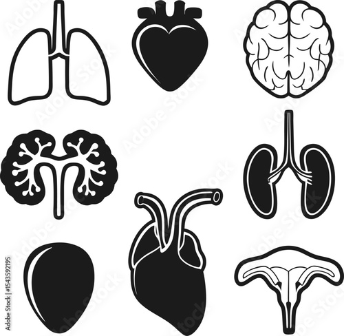 Human anatomy organs silhouette set lungs heart brain kidneys liver bladder uterus