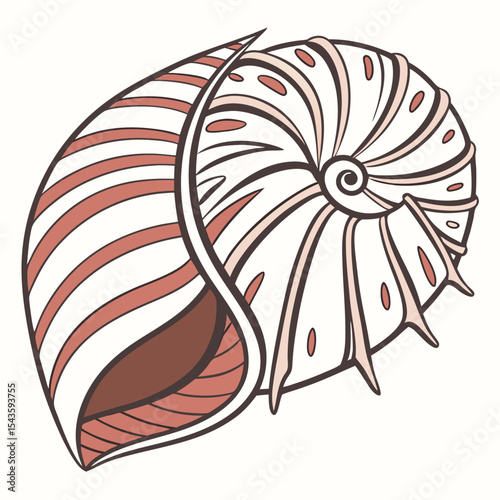 Elegant nautilus shell illustration with delicate coral and cream color palette