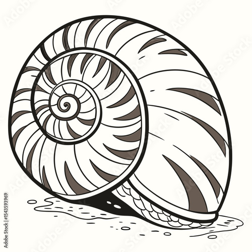 Snail shell hand drawn vector illustration detailed coloring page isolated design