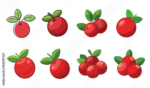 Set of Cranberry fruits icon,  vector illustration on white background.