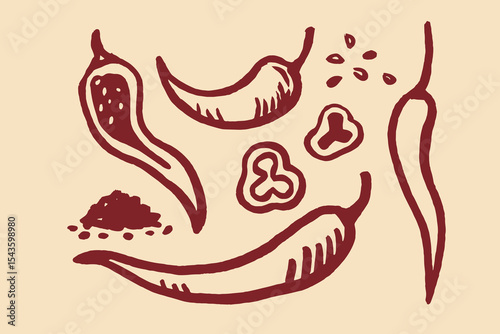 Chili peppers seeds powder naive sketch vector illustration