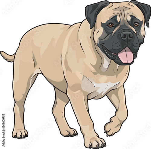 Bullmastiff Dog Clip art Vector and Illustration Art White Color Background