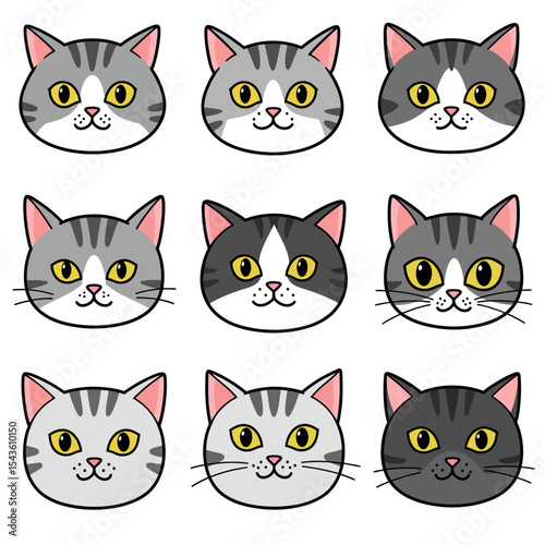 A Comprehensive Look at the Unique Features and Characteristics of Various Cat Breeds and Their Common Traits
