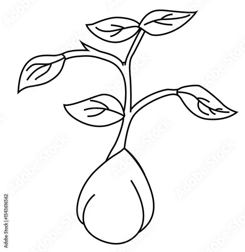 Cute cartoon hand drawn vector sprouted gram outline.