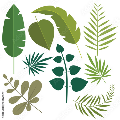 A colorful vector illustration featuring a variety of verdant, tropical leaves.