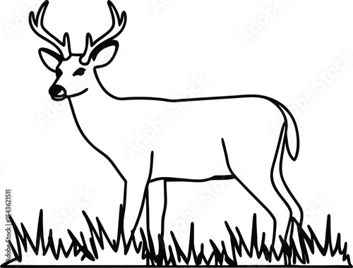 silhouette of a deer, sketch, standing, design element, horned, logotype, antelope, goat