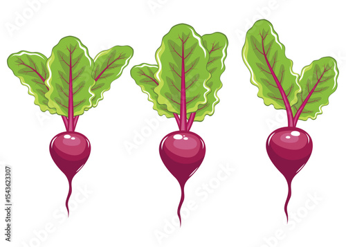 Three cartoon beets with large green leaves isolated on a white background
