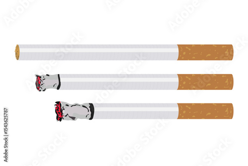 Cigarette Life Cycle: From Fresh to Finished, Illustrating Use Stages