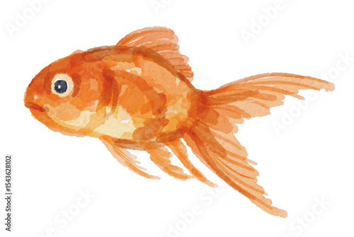 Hand painted watercolor goldfish isolated