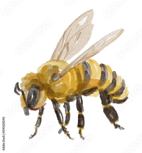 Watercolor honey bee isolated on white background