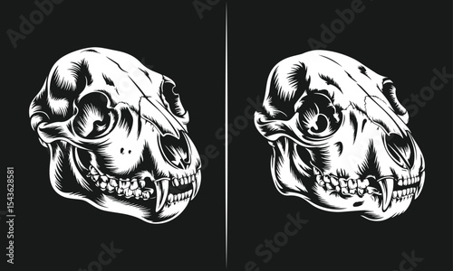 Realistic Animal Skull Illustration – Detailed Black and White Skull Art Design