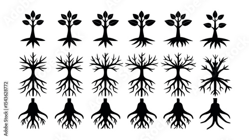 Collection of Tree Silhouettes Diverse Roots & Crowns, Black and White Vector Graphics for Design Projects