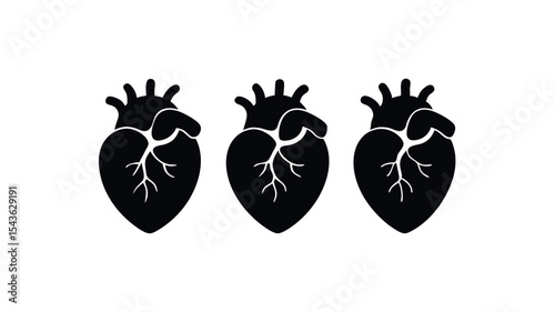 Triple Heart Anatomy Illustration Vector Graphic of Three Human Hearts, Perfect for Medical, Health, and Wellness Designs