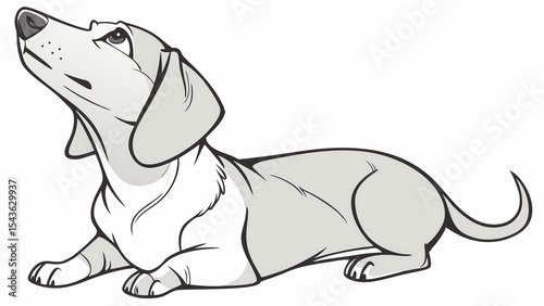 Cute dachshund dog illustration drawing vector image pet animal puppy wiener dog breed cartoon character design
