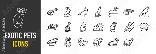Set of Exotic pets icons. such as Leopard Gecko, Animal, Cute, Sulcata, Frog, Bushbaby, Horned Beetle, Pogona illustration.	
