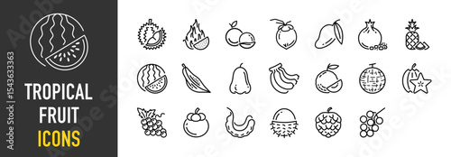 Set of Tropical fruit vector icons. such as Asian, Arils, watermill, pineapple Fruit illustration.	
