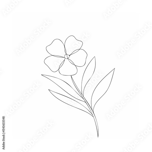 vector illustration of a flower