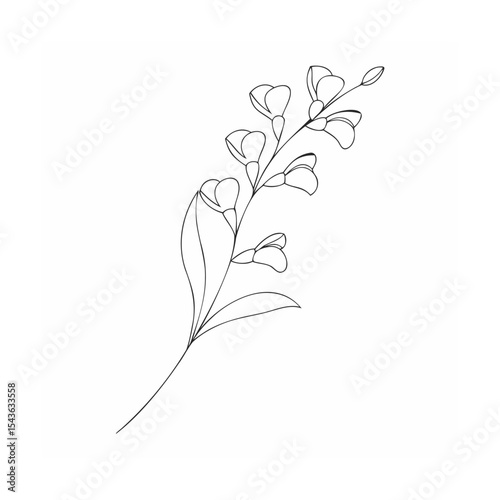 black and white floral