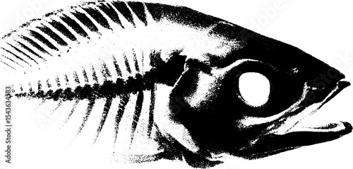 High contrast black and white fish skeleton art for modern design and decoration
