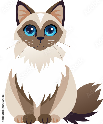 vector illustration of a cat Ragdoll