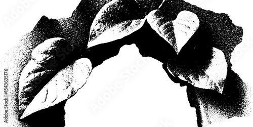 Fractured archway keystone with ivy leaves highlighted in high contrast