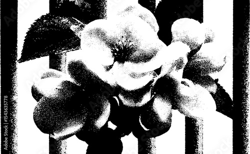 Spring blossoms on fragmented garden gate for seasonal design and decor