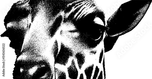 High contrast black and white giraffe print fragment for modern design