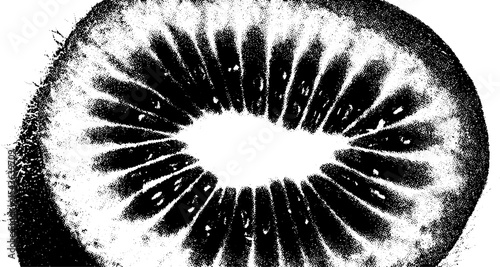 Abstract black and white kiwi half with high contrast for modern art design