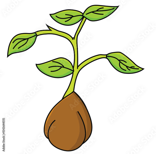 Cute cartoon hand drawn vector vector sprouted gram clipart.