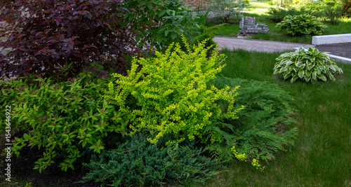 Fragment of the park with landscape design. Ornamental shrubs of various shapes and sizes.