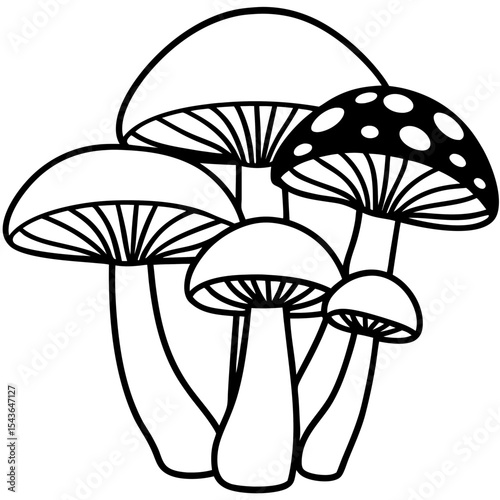 Minimal Mushroom Illustration