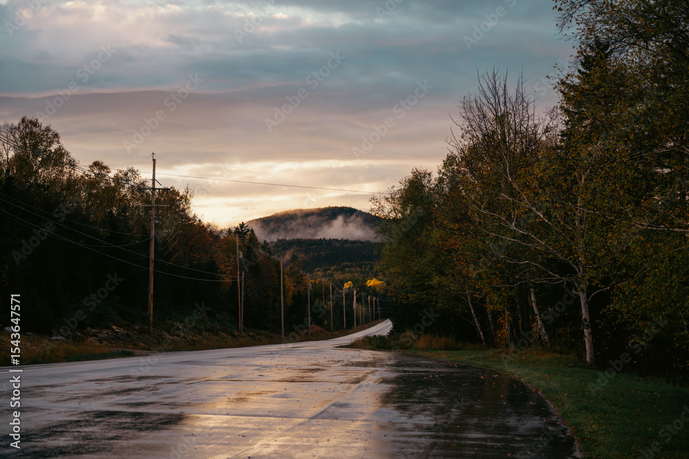Obraz premium view of a road in a mountainous area with a wet surface and a forest on both side on a cloudy day