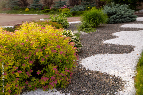 A fragment of a public park with a gravel garden. Perennial plants in landscape design.